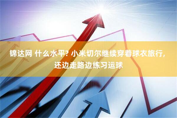 锦达网 什么水平? 小米切尔继续穿着球衣旅行, 还边走路边练习运球